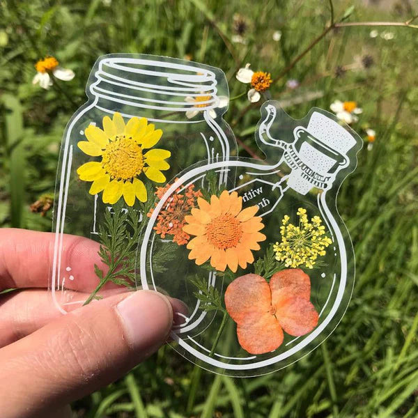 🍃 Läpinäkyvät Luontotarrat