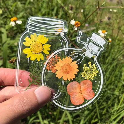 🍃 Läpinäkyvät Luontotarrat