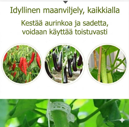 Kasviklipsit köynnöskasveille – Muovikiinnikkeet tomaateille ja köynnöksille 🌱🍅