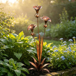 Copper Bloom Puutarhakepit