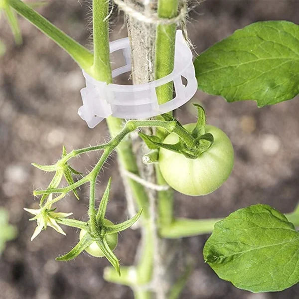 Kasviklipsit köynnöskasveille – Muovikiinnikkeet tomaateille ja köynnöksille 🌱🍅