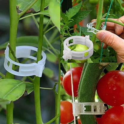 Kasviklipsit köynnöskasveille – Muovikiinnikkeet tomaateille ja köynnöksille 🌱🍅