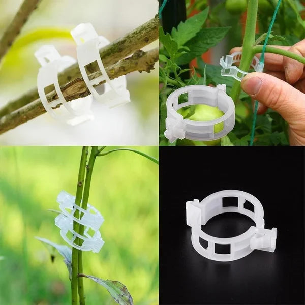 Kasviklipsit köynnöskasveille – Muovikiinnikkeet tomaateille ja köynnöksille 🌱🍅