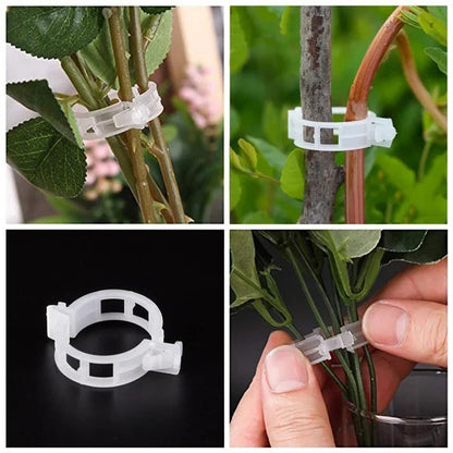 Kasviklipsit köynnöskasveille – Muovikiinnikkeet tomaateille ja köynnöksille 🌱🍅